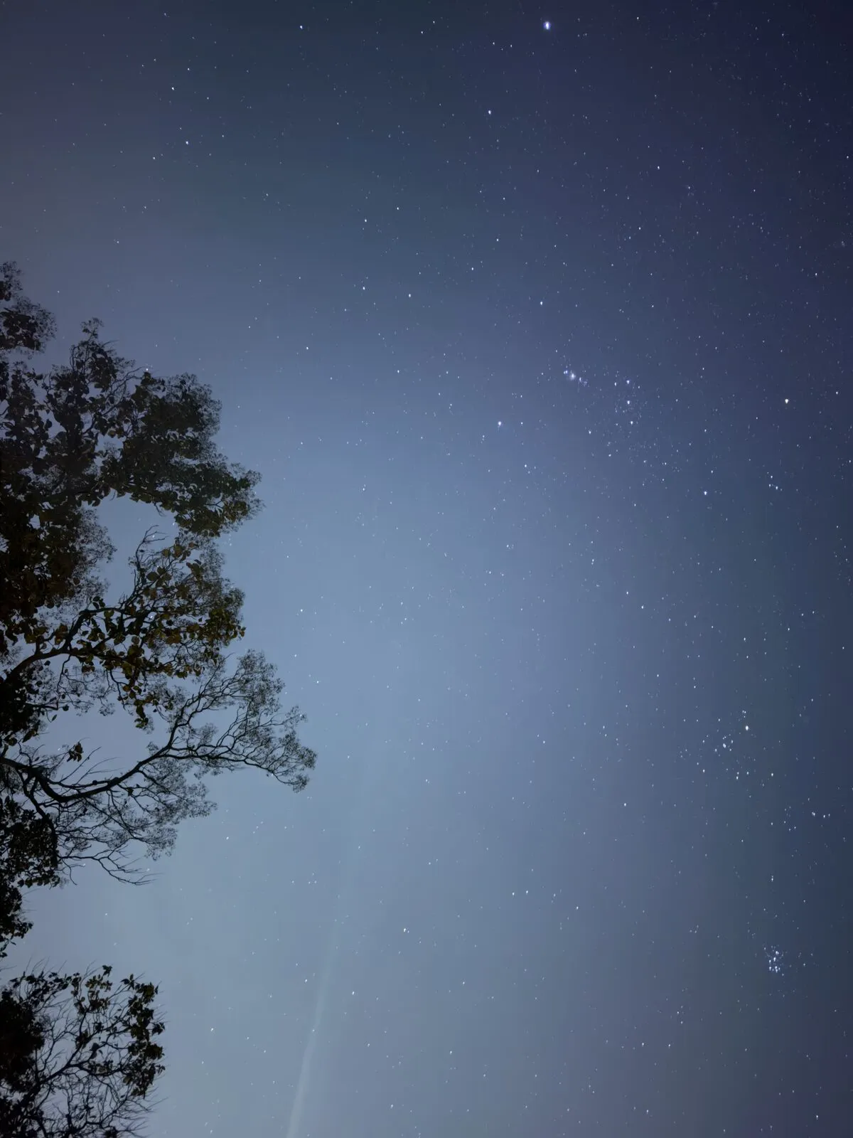 the sky at camp